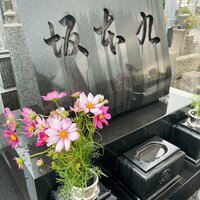 柏木由紀子『誕生日』