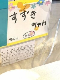 マック鈴木『無事に！』