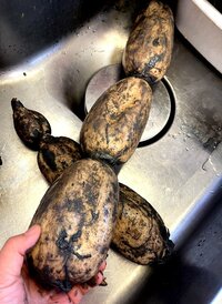 北斗晶『ドキドキし過ぎて消化できない』