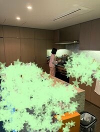 市川海老蔵『なんか物音するなーと、』