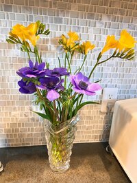 堀ちえみ『やらなくてはいけないからの克服』