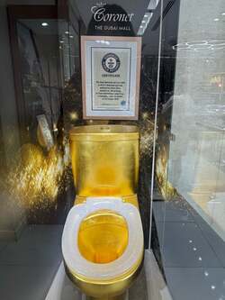  モデル・実業家の鈴木亜子、ドバイで展示されていたギネス世界記録認定されているもの「40815個のダイヤモンドが」