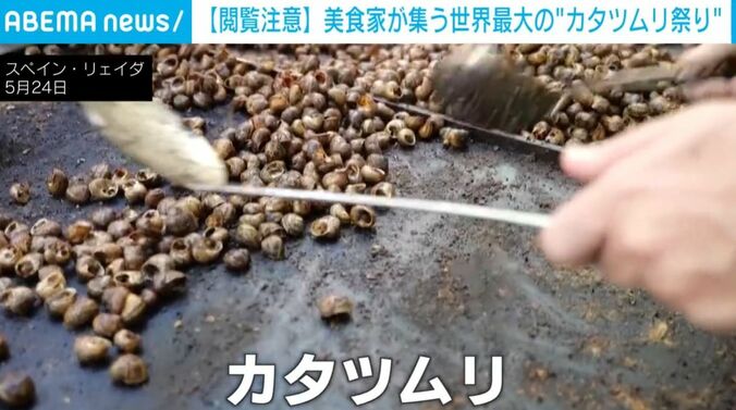 カタツムリ