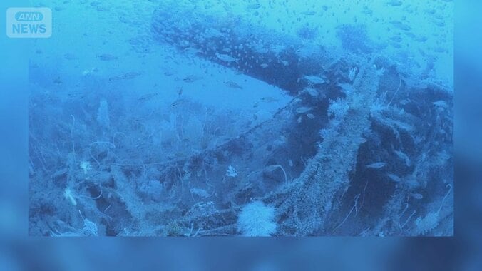 沈没から82年…旧日本海軍の軽巡洋艦『長良』　潜水調査で初めて撮影に成功 1枚目