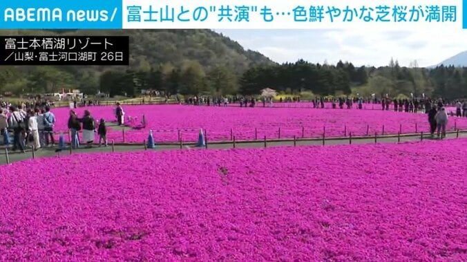 富士本栖湖リゾート