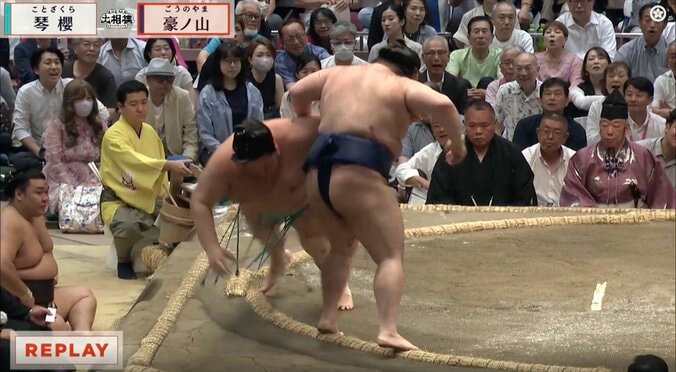 注目を集めた土俵際の攻防