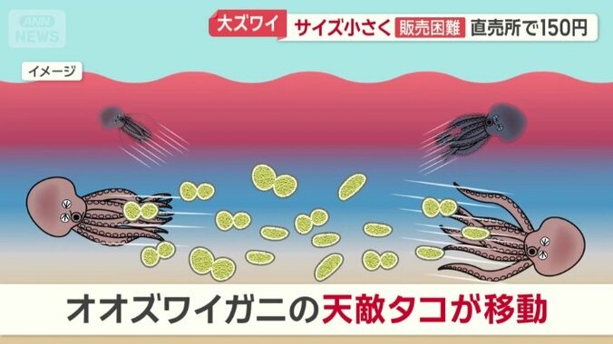 突然大量発生したワケ