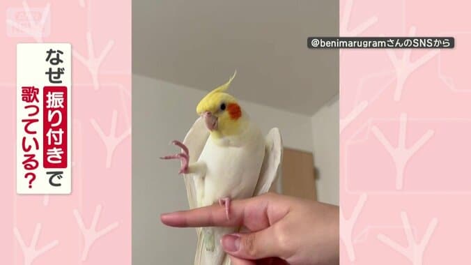 なぜ振り付きで歌ってる？