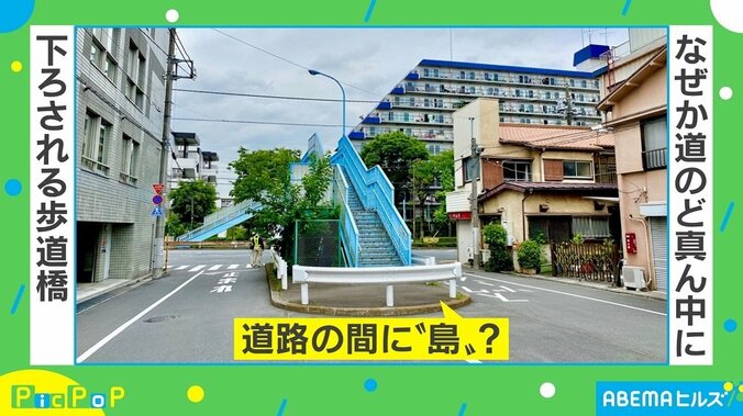 「どういう経緯？」「RPGなら宝箱ありそう」 板橋区で撮影された“エモい歩道橋”が話題に 2枚目