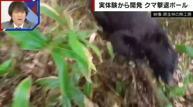 提供：原生林の熊工房