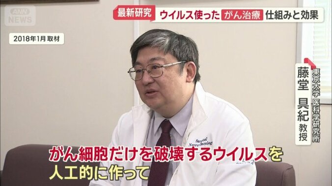 ウイルスそのものを薬にするという治療法