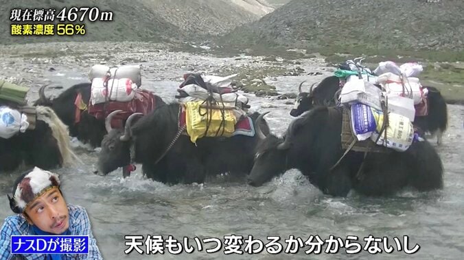 ズシっと重たい木材を背中に積み川を渡る…「世界で最も過酷で命懸けの買い物」にナスDが密着 1枚目