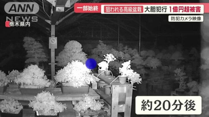 画面中央に映った怪しい人影