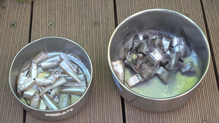 動物たちの可愛すぎる“食事タイム”に密着! ホワイトタイガーこだわりのディナーとは?