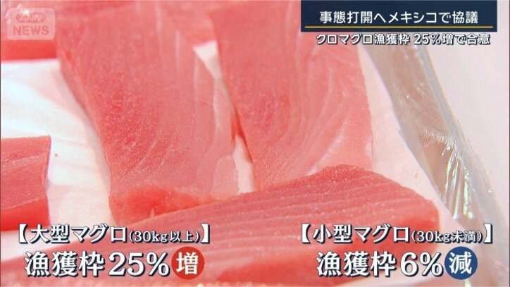 合意された案
