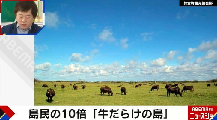 【写真・画像】「子だくさんの島」「牛だらけの島」…日本にあるユニークすぎる“謎の島”たち　1枚目