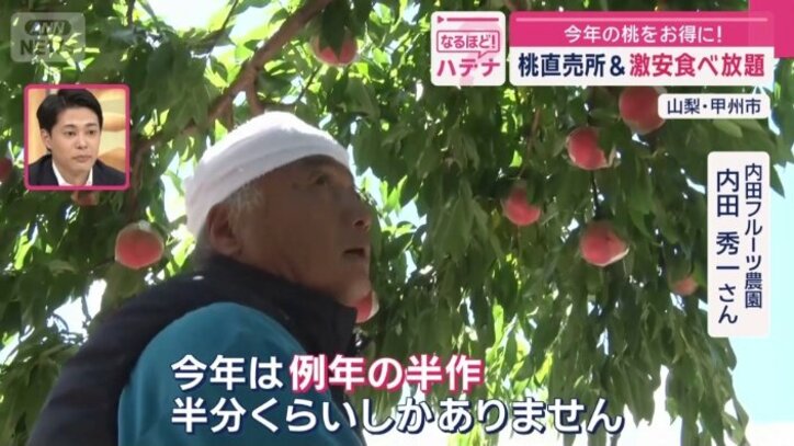 今年の桃の出来栄えは?