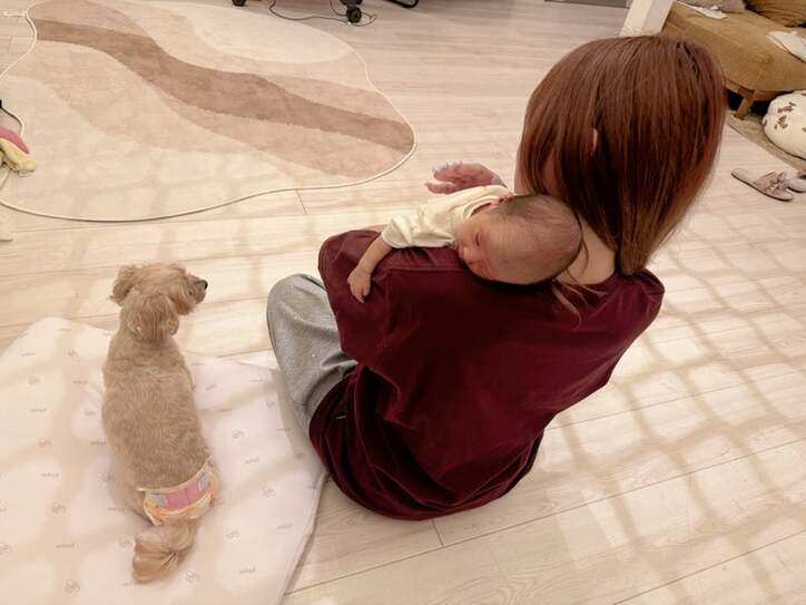 【写真・画像】SNS下書き_241218更新　※※露出系は配信先「nor.」を外すこと！！※※　1枚目