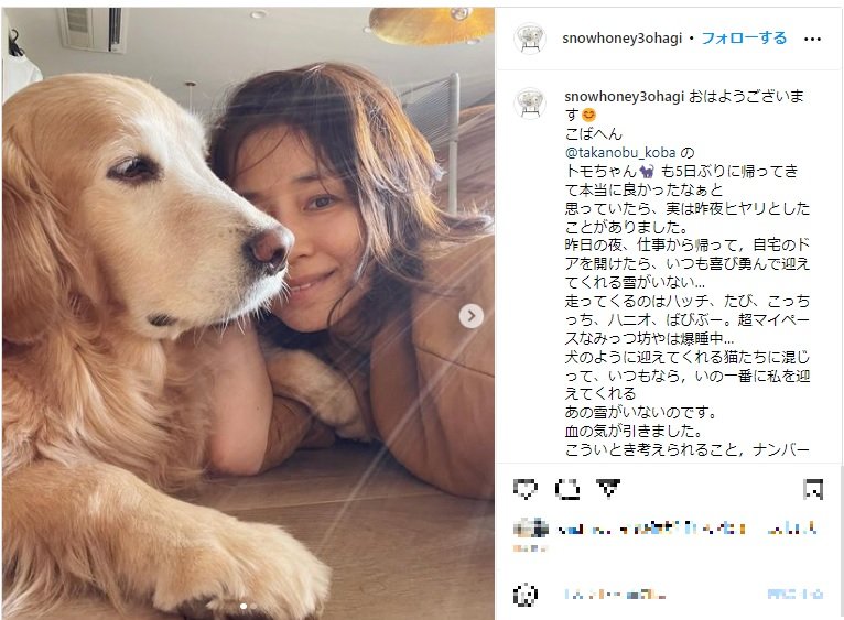 泣き出しそうな,狂いそうな気持ち」石田ゆり子、愛犬の行方不明 泣き出しそうな,狂いそうな気持ち」石田ゆり子、愛犬の行方不明