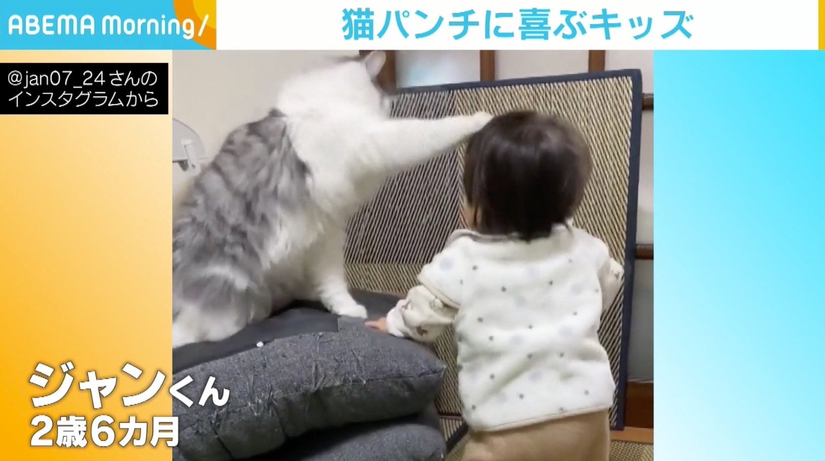 これ以上来ないで 兄猫が ちょん と控えめな猫パンチ 喜ぶ赤ちゃんの姿に反響 話題 Abema Times