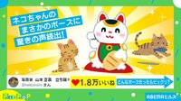 【映像】猫が披露した変身ポーズ(全身カット)