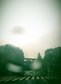 藤田朋子『気になってるでしょ？』