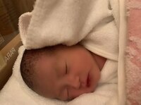 アレクサンダー『美人さんだな❤️』