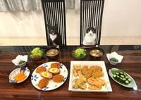 藤あや子『昨日の晩ごはん』