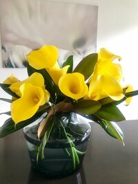 稲垣吾郎『新しい魅力』