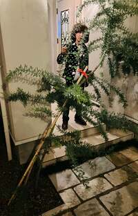 ダイアモンド☆ユカイ『ユカイ危機一髪』