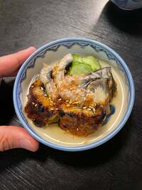 市川團十郎白猿『キマシタ！』