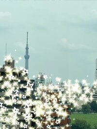 堀ちえみ『主人が送ってきてくれた写真』