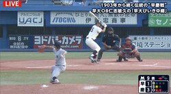 「努力とは他人の評価」に視聴者「野球以外にも通ずる」　侍ジャパンU-12代表・仁志監督が語った努力論