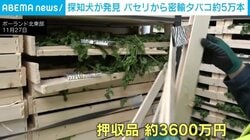 パセリに隠された“密輸タバコ”約5万本 探知犬とX線が暴く 押収品の価値は約3600万円超 ポーランド