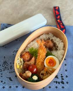  花田虎上の妻、作り置き料理を使った弁当を公開「最初の頃と比べたらクオリティが下がってる！と」 