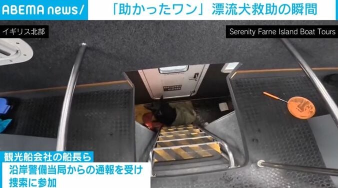 ブルース