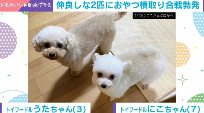 うたちゃんとにこちゃん