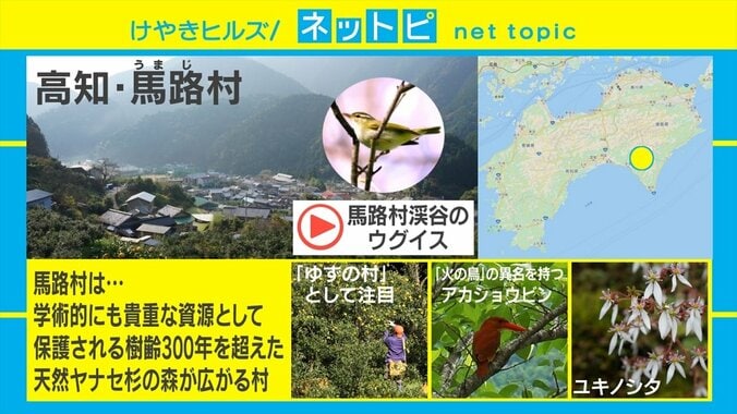 「後輩に『何聴いてんの？』と聞いたら『雨の岐阜県です』と言われて」環境音についてのTwitterの投稿が話題 3枚目