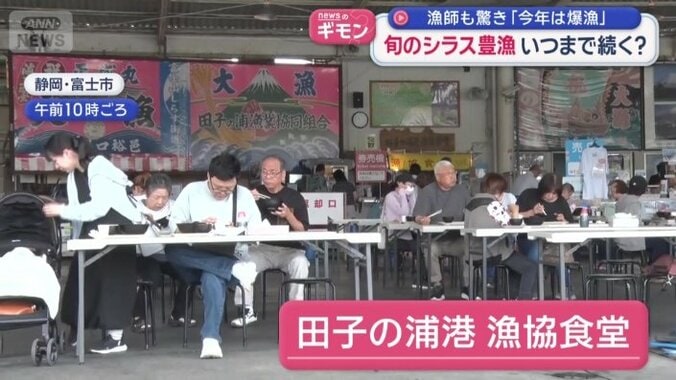 田子の浦港　漁協食堂