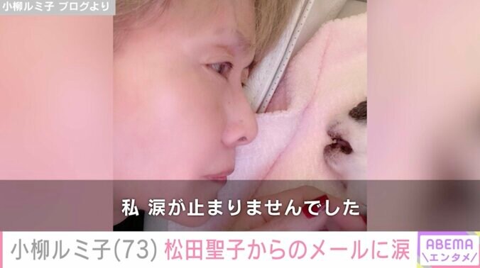 【写真・画像】小柳ルミ子(73)最愛の“家族”との別れ 松田聖子からのメッセージに涙　2枚目