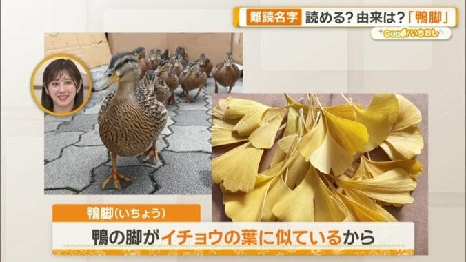 正解は「いちょう」