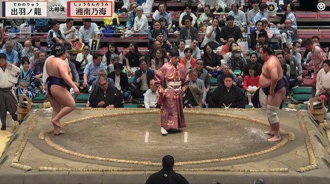 「目立ちすぎます」大相撲で突如、向正面を横切るタレントの姿にファン驚き 2枚目
