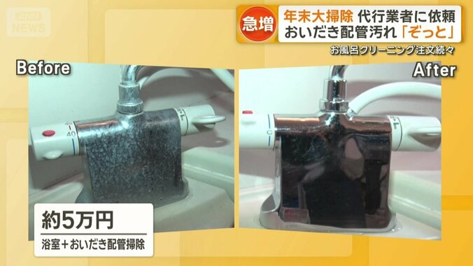 約3時間作業で費用は約5万円