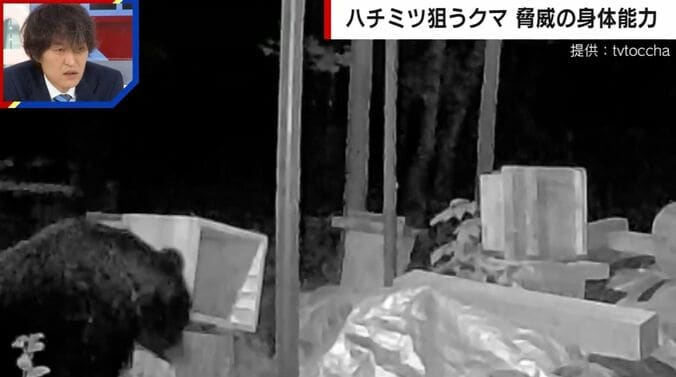 提供：tvtoccha
