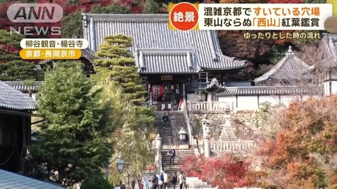 柳谷観音・楊谷寺