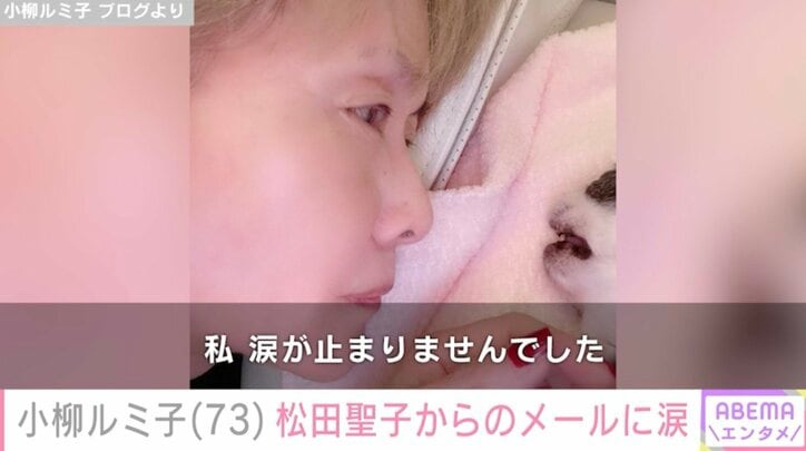 【写真・画像】小柳ルミ子(73)最愛の“家族”との別れ 松田聖子からのメッセージに涙　2枚目