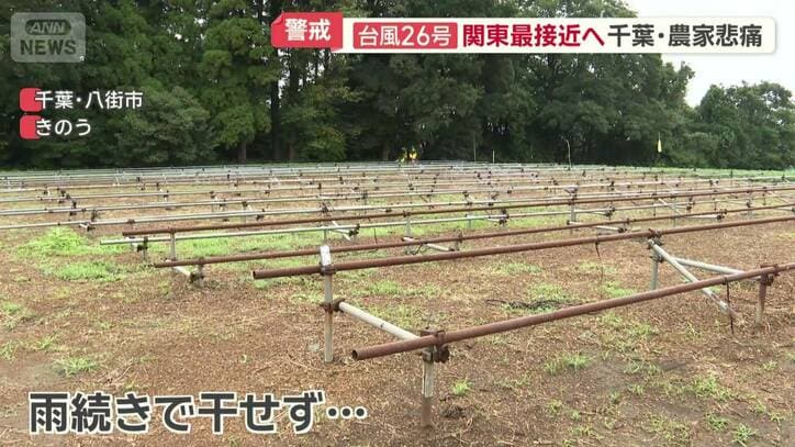 雨続きで天日干しができず