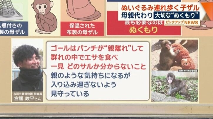 「入れ込み過ぎないよう見守っている」