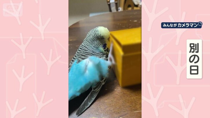 別の日、違う箱でも