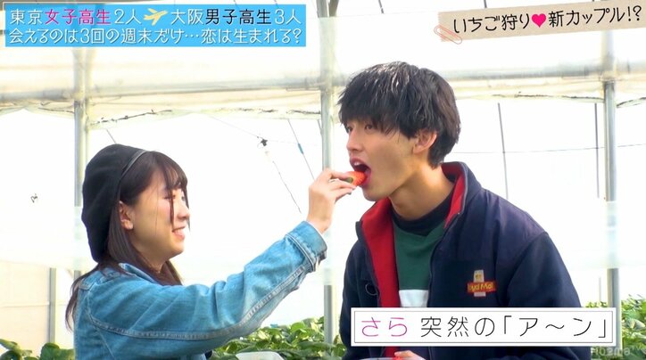 美少女JKを巡る争奪戦、いちご狩りで「あーん」合戦勃発 『恋ステ』大阪編